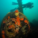 Scuba Diving in Vanuatu | Image Credit: Roderick Eime from Australia, Vanuatu Scuba Diving - Million Dollar Point (7354473778), CC BY 2.0