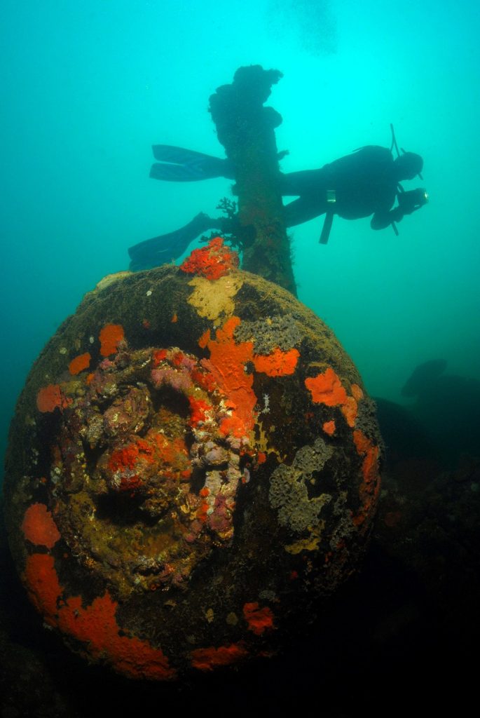 Scuba Diving in Vanuatu | Image Credit: <a href="https://www.flickr.com/people/67406666@N00">Roderick Eime</a> from Australia, <a href="https://commons.wikimedia.org/wiki/File:Vanuatu_Scuba_Diving_-_Million_Dollar_Point_(7354473778).jpg">Vanuatu Scuba Diving - Million Dollar Point (7354473778)</a>, <a href="https://creativecommons.org/licenses/by/2.0/legalcode" rel="license">CC BY 2.0</a>