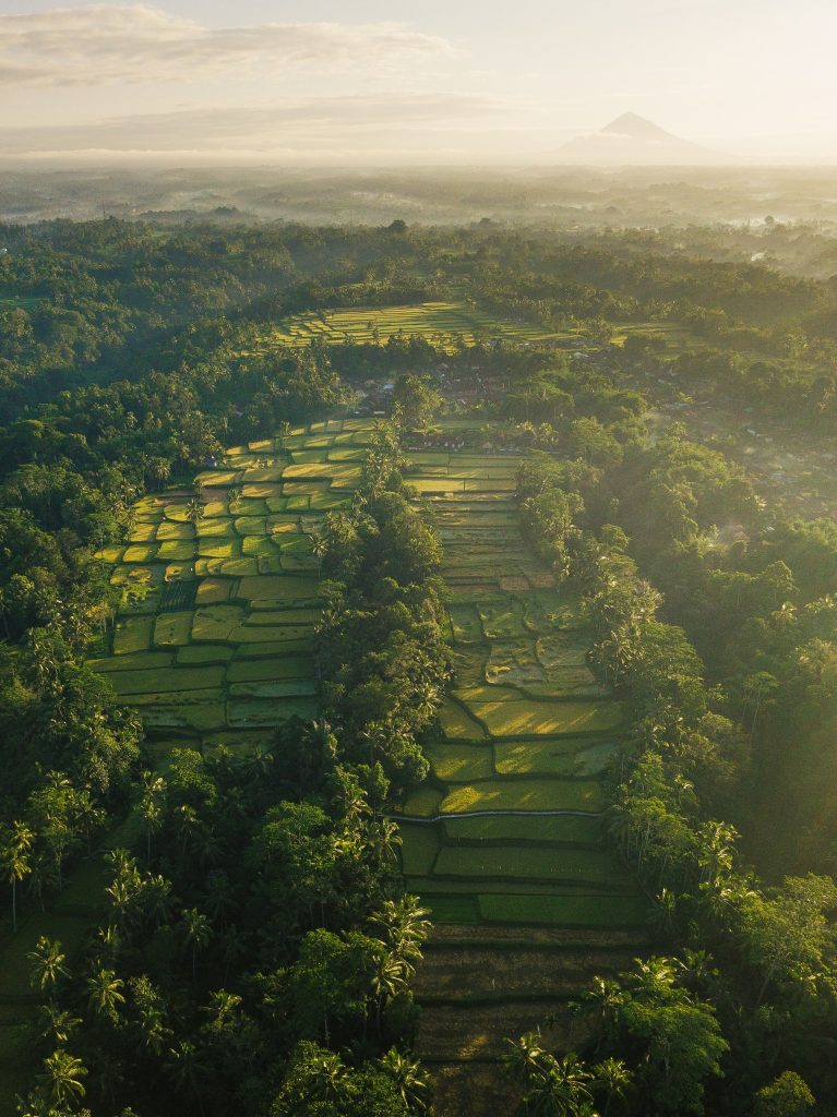 Ubud