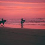 Horseback Riding on the beach