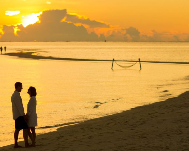Island Romance & Wild Safari: The Ultimate Sir Bani Yas Escape