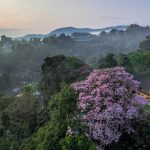 A Couple's Guide to a Romantic Kandy Getaway