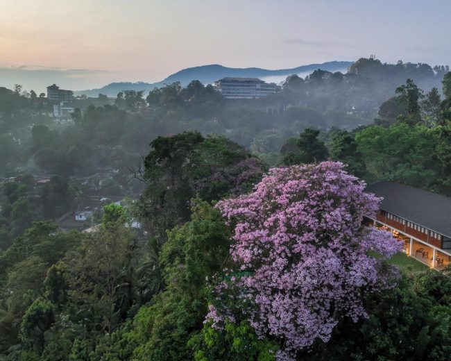 A Couple's Guide to a Romantic Kandy Getaway