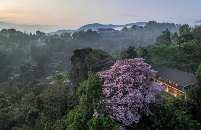 A Couple's Guide to a Romantic Kandy Getaway