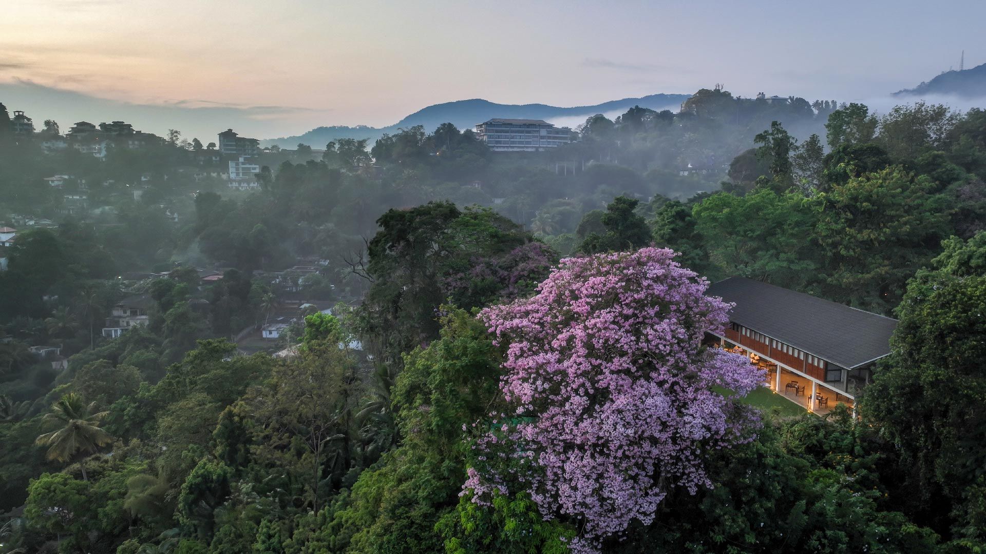 A Couple's Guide to a Romantic Kandy Getaway